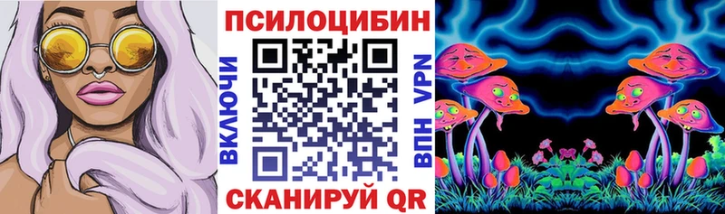 блэк спрут ONION  Новоалтайск  Псилоцибиновые грибы Magic Shrooms 